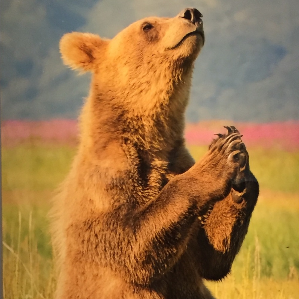 Meet your Posher, Brooklyn